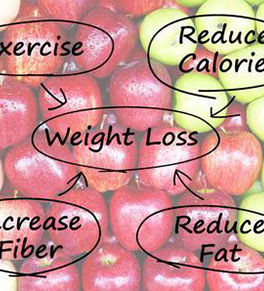 What Does Fiber have to do with Weight Loss/Management/?